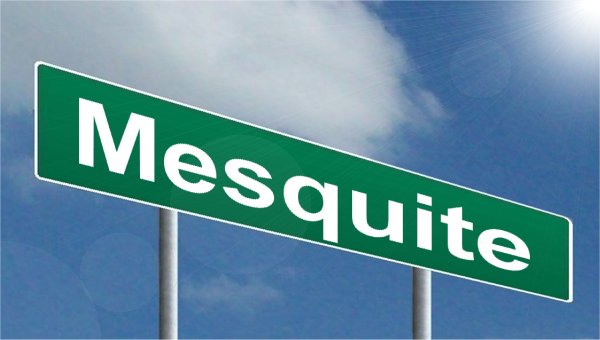 Mesquite