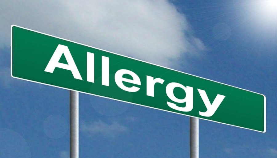 Allergy Highway image