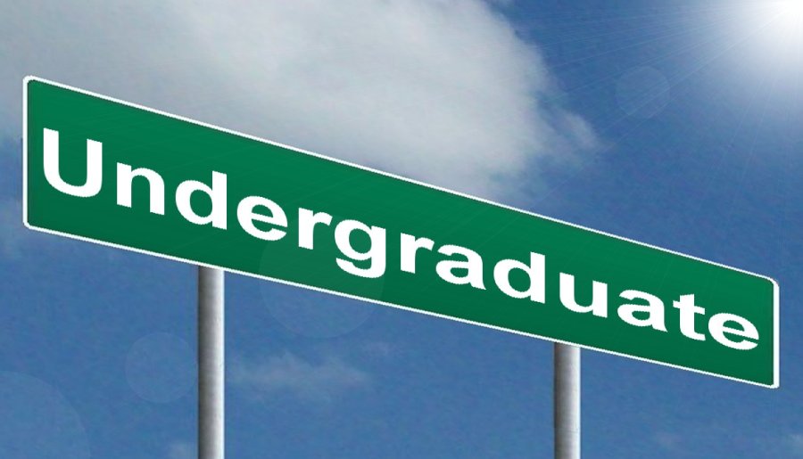 Undergraduate