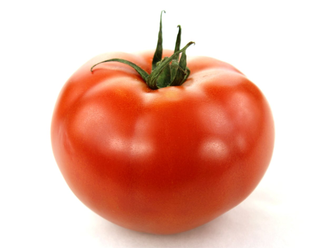 Image result for tomato