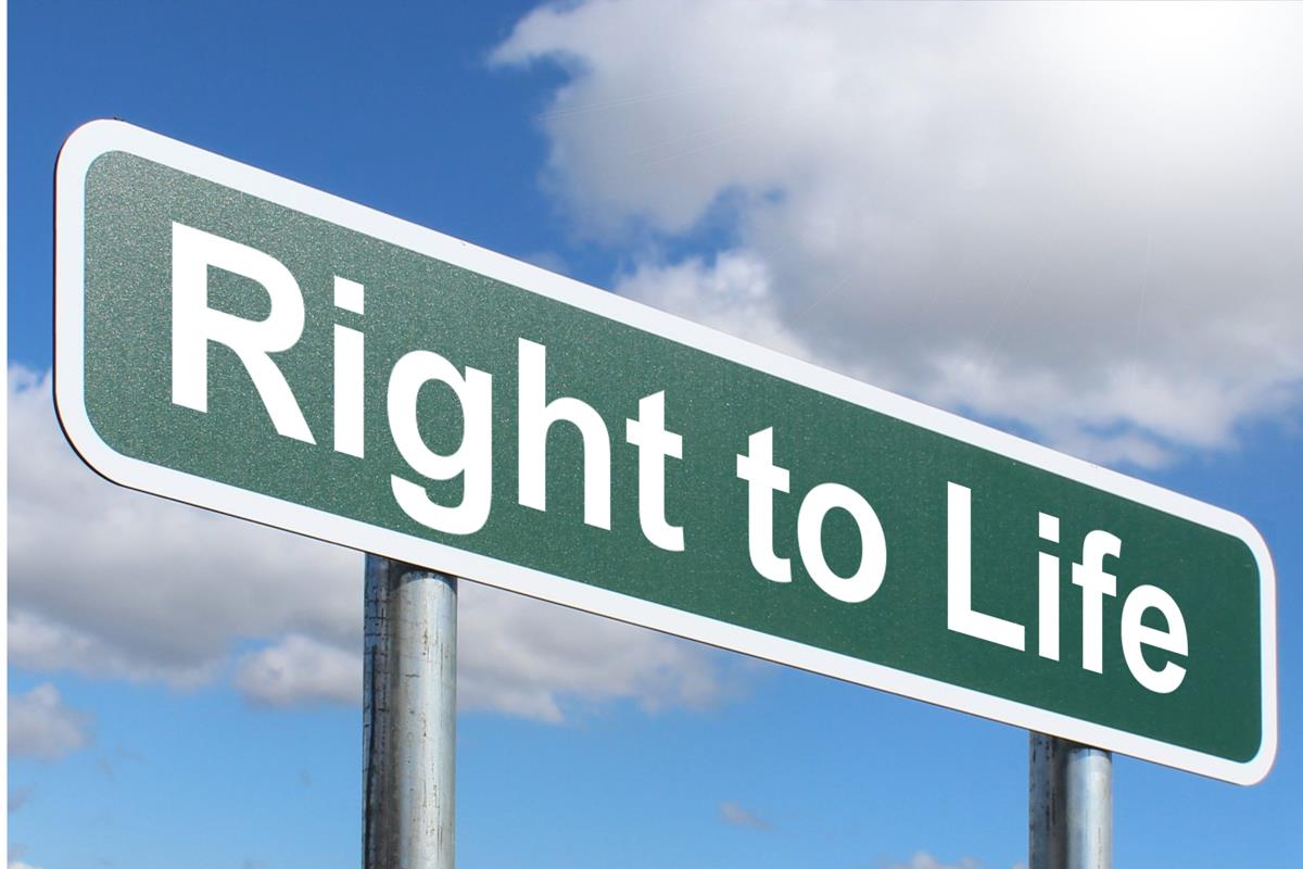 Right to life Free Creative Commons Images from Picserver