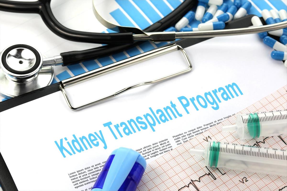 Kidney transplant program Free Creative Commons Images from Picserver