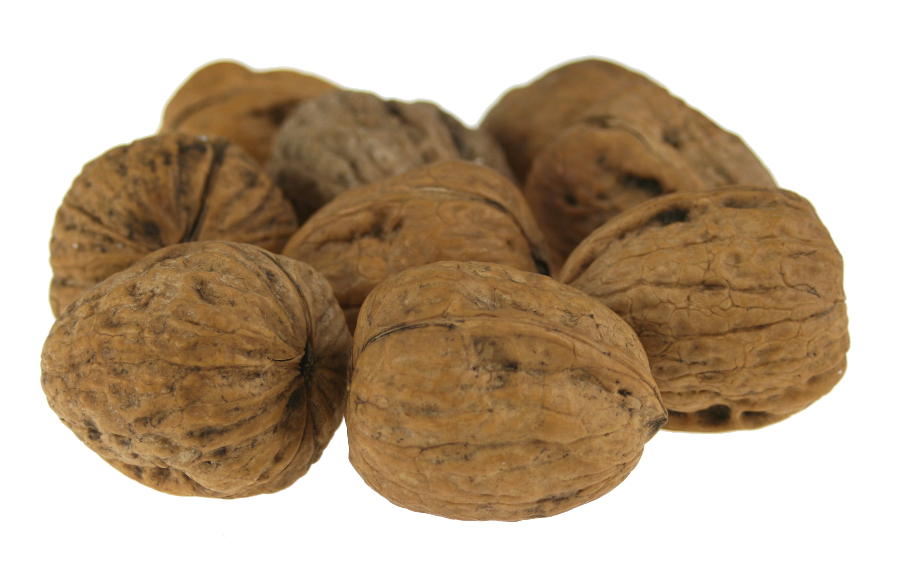 Walnuts Free Creative Commons Images from Picserver