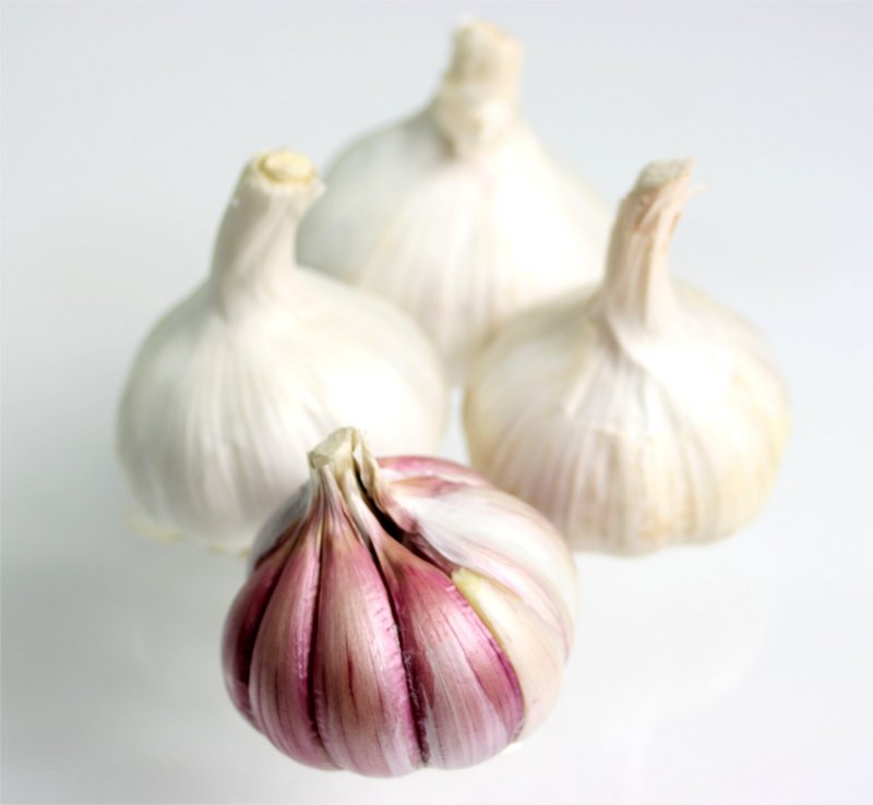 Garlic bulbs Free Creative Commons Images from Picserver