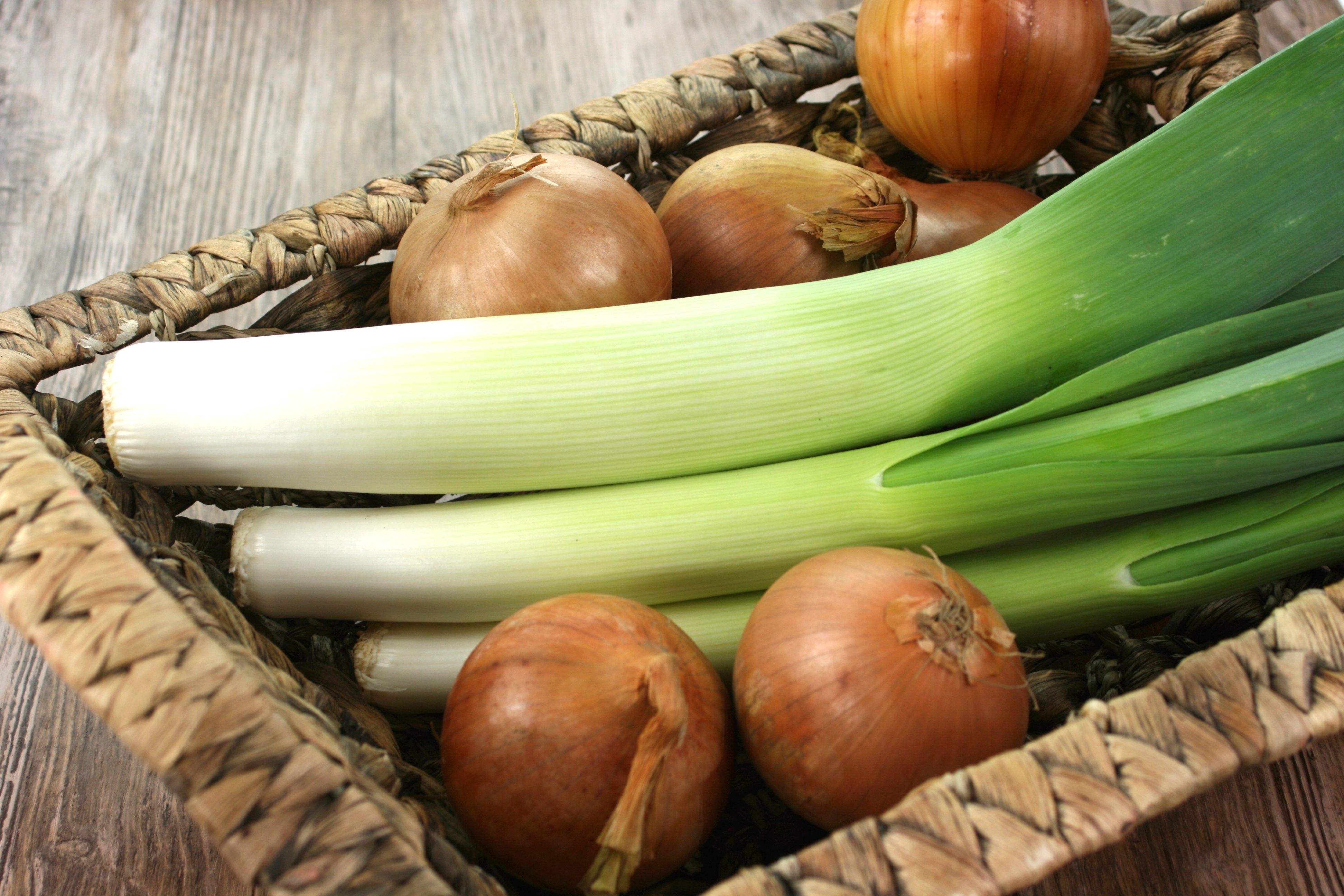 Leeks and onions Free Creative Commons Images from Picserver