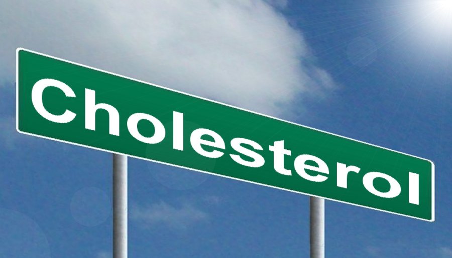 Cholesterol Free Of Charge Creative Commons Highway Sign Image