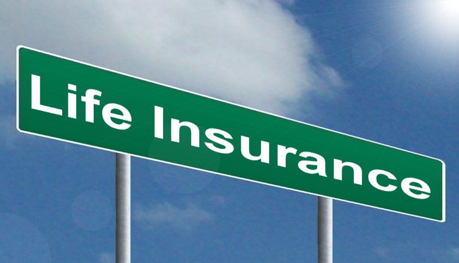 Life Insurance Free Of Charge Creative Commons Highway Sign Image