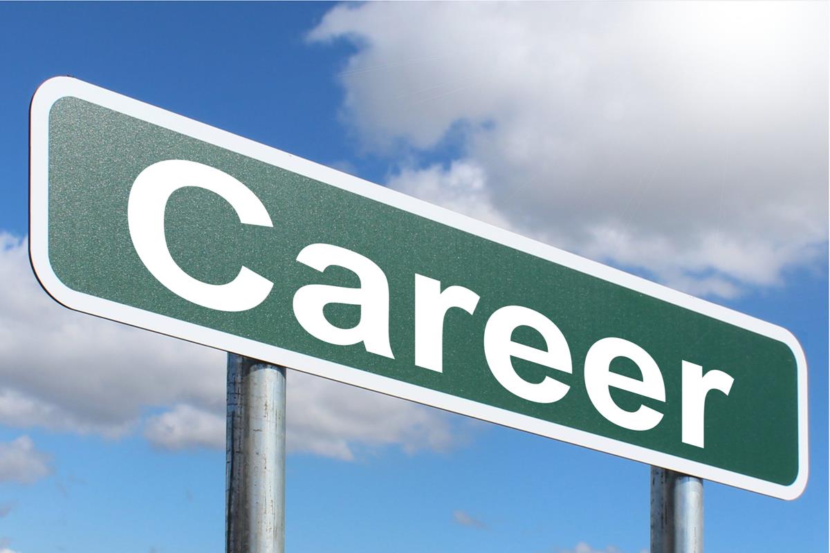 Career