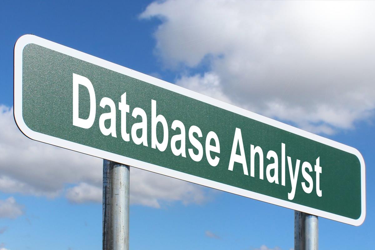 Database Analyst