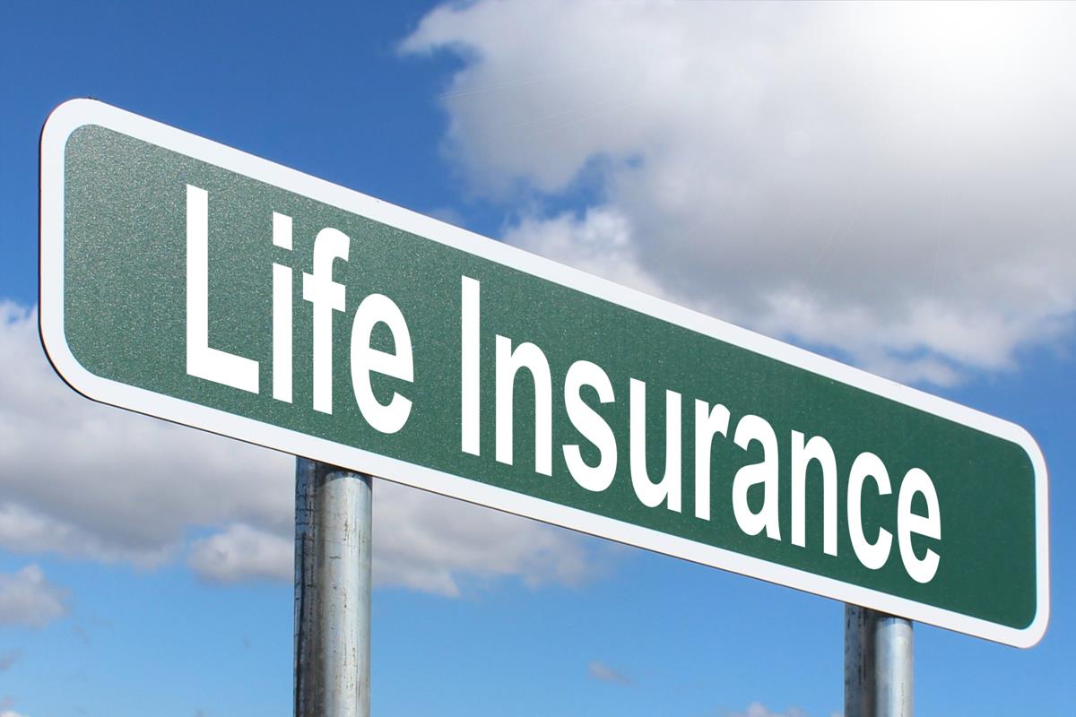 Life Insurance - Free of Charge Creative Commons Green Highway sign image