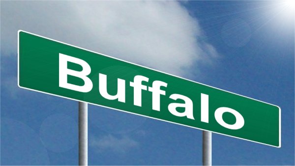 Buffalo