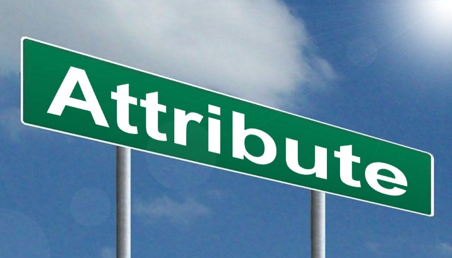 Attribute