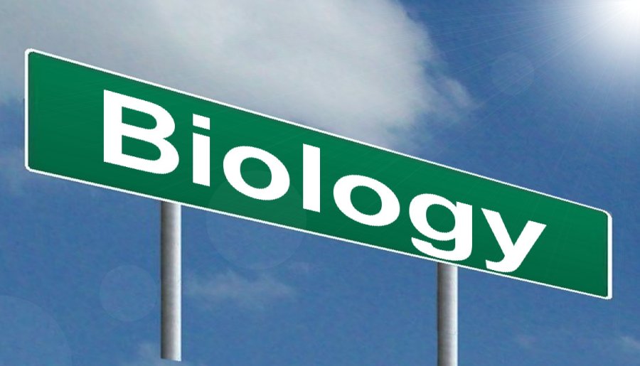 Biology