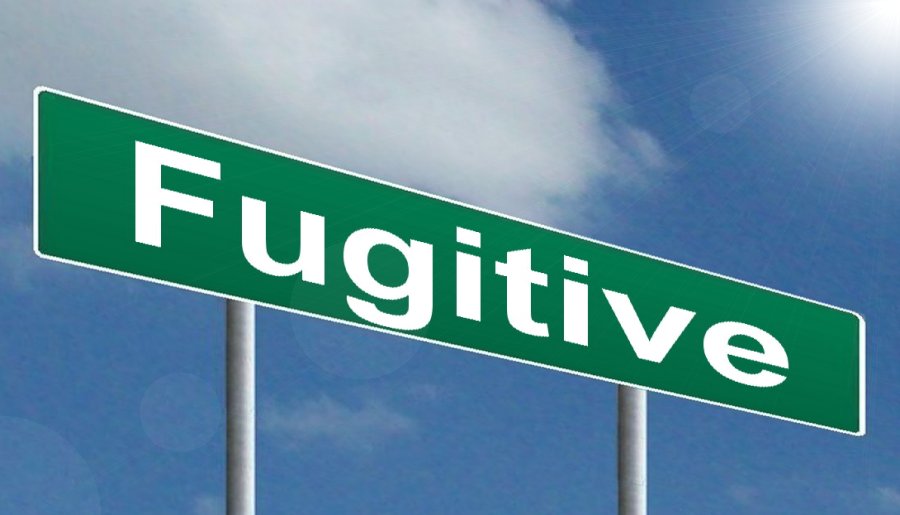 Fugitive