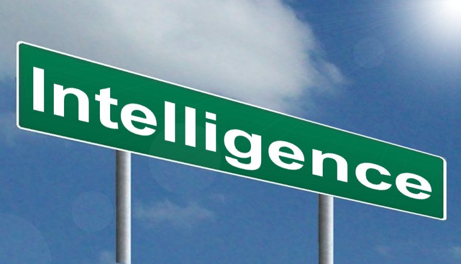 Intelligence