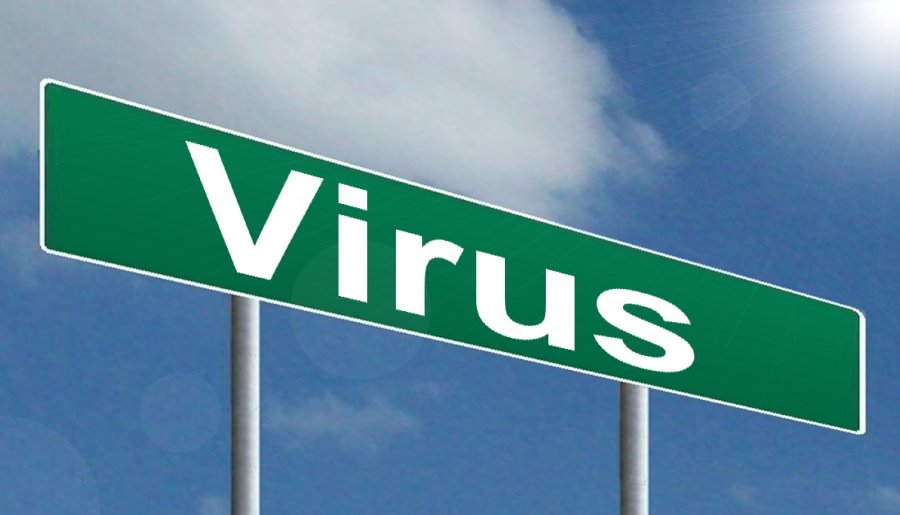 Virus