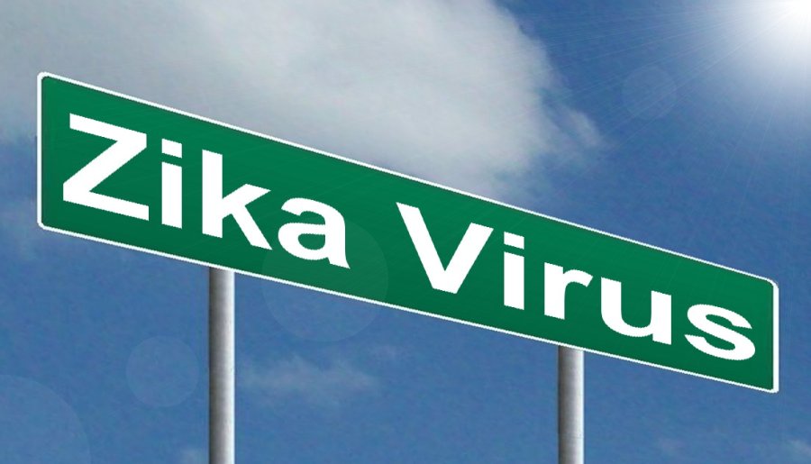 Zika Virus