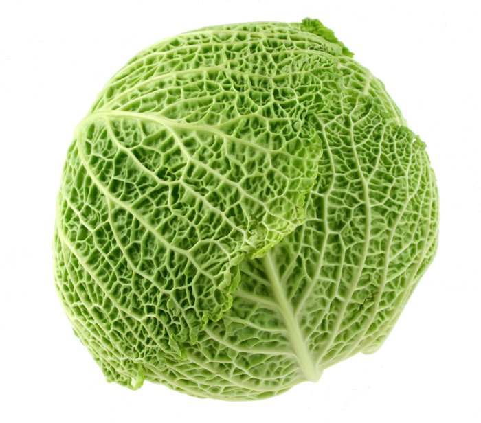 Cabbage