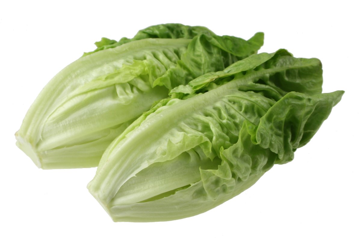 Lettuce