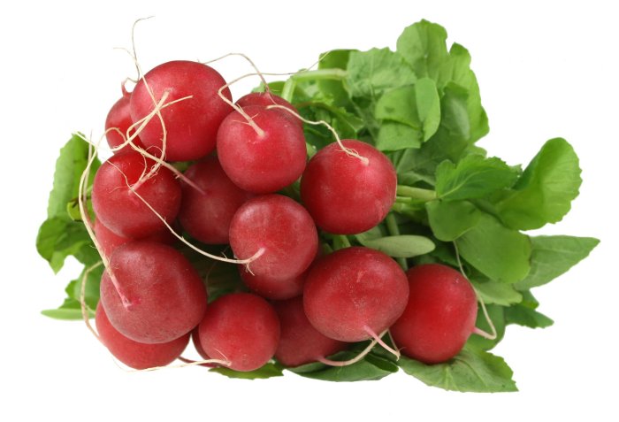 Radishes