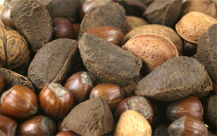 Various Nuts